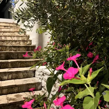 Hébergement de vacances Perfect Saranda