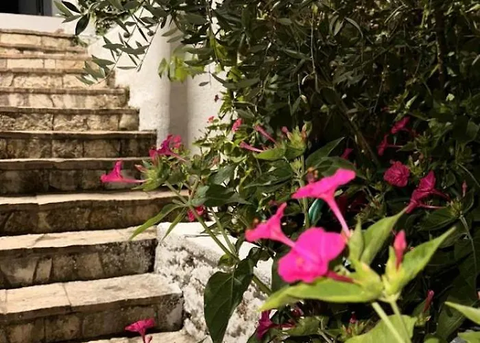 Hébergement de vacances Perfect Saranda